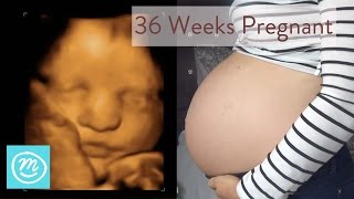 36 Weeks Pregnant What You Need To Know  Channel Mum [upl. by Jemine]