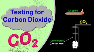 Testing For Carbon Dioxide [upl. by Erreip]