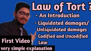 what is law of tort general basic introduction of law of tort lawoftorts lawoftort [upl. by Yank818]