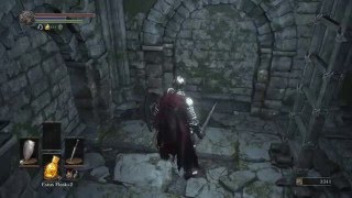 Dark Souls III Road of Sacrifices  Route to the Farron Keep Bonfire [upl. by Izabel]