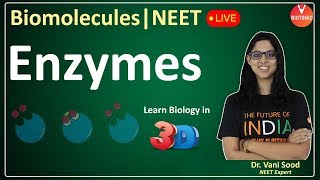 Biomolecules  Enzymes  CBSE Class 11 Biology Chapter 9  NEET 202324  Vani Maam [upl. by Einegue801]