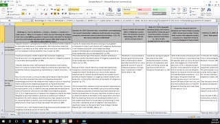 How to Create a Literature Matrix Excel [upl. by Onitnerolf]