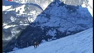 Ueli Steck Neuer Speed Rekord am Eiger [upl. by Silyhp]