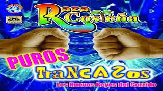 RAZA COSTEÑA CORRIDOS MIX [upl. by Atiuqin]