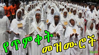 NEW  ለጥምቀት በዓል የተመረጡ መዝሙሮች  New Ethiopian Orthodox Timket mezmur [upl. by Carree404]