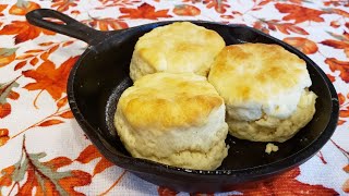 2 Ingredient Biscuits  The Hillbilly Kitchen [upl. by Cheke537]