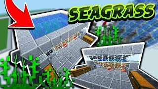 Minecraft Automatic Seagrass Farm Tutorial [upl. by Ahrendt811]