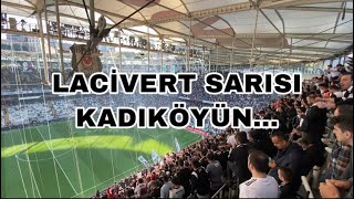 Lacivert Sarısı kadıköyün… [upl. by Tiemroth]