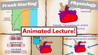 S1 Heart Sounds and Murmurs  First Heart Sound  Dr Najeeb🫀 [upl. by Libenson886]