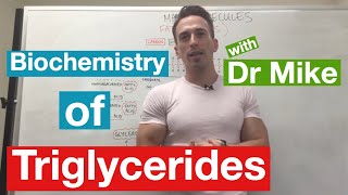 Fatty Acids Glycerol and Lipids  Biochemistry [upl. by Bronez]