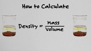 How To Calculate Density  With Examples [upl. by Etteneg460]