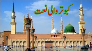 Taiba Dy Kabootra Full Naat [upl. by Naraa]