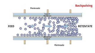 POREX® TMF  Cross flow filtration process [upl. by Chrysa]