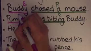 Identifying Subject and Predicate [upl. by Christenson]