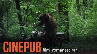 URSUL  Film Romanesc comedie  CINEPUB [upl. by Toulon]