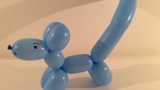 DIY hondje maken van 1 vouwballon [upl. by Tsyhtema]