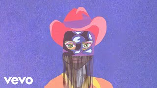 Orville Peck  Drive Me Crazy Official Audio [upl. by Eceinert]