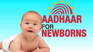 You need just 2 documents to enroll your child for Aadhaar card—check out these simple steps  UIDAI [upl. by Fredelia]