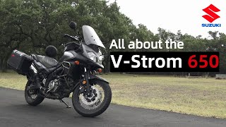 Everything You Need to Know Suzuki V Strom 650 [upl. by Cheffetz62]