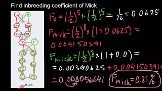 How to Find Inbreeding Coefficient practice problem [upl. by Herminia]