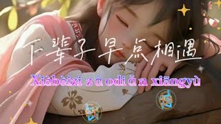 XIA BEI ZI ZAO DIAN XIANG YU  下辈子早点相遇 pinyin lyrics tz88 [upl. by Bugbee21]