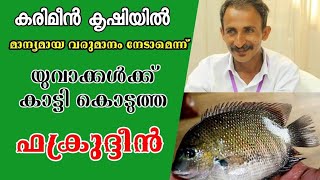 കരിമീൻ വളർത്തൽ  karimeen Valarthal  Fish Farming Kerala Kairali Fish Farm  Karimeen Krishi [upl. by Thirzia346]