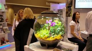 Eddies BiOrb aquariums at Global Pet Expo [upl. by Cud743]