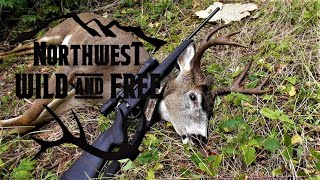 Hunting Blacktail Deer in the Northwest  Nobles Buck [upl. by Levesque]