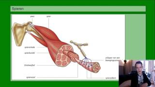 Basisstof 5 Spieren [upl. by Almond215]