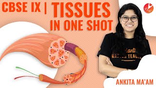 Tissues in OneShot  CBSE Class 9 Biology  Science Chapter 6  Tissues Crash Course NCERT Vedantu [upl. by Doowron]