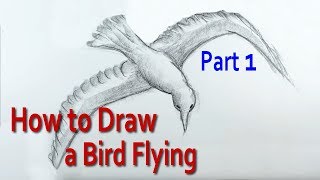 How to Draw a Bird Flying in the Sky [upl. by Hedley]