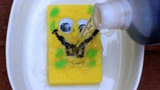 Sulfuric Acid vs Sponge  Chemical Reaction [upl. by Zachary]