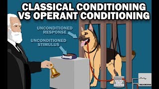 CLASSICAL VS OPERANT CONDITIONING [upl. by Kassel]