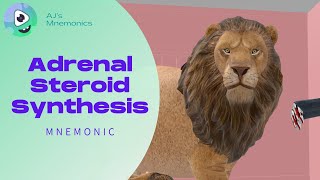 Adrenocortical Hormone Biosynthesis [upl. by Baras32]