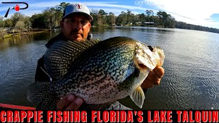 Lake Talquin Crappie Fishing [upl. by Pavla]