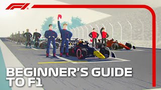 Beginners Guide to F1 [upl. by Nnil]