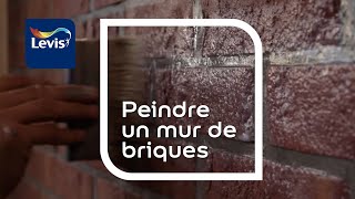 Comment peindre un mur de briques [upl. by Jerad]