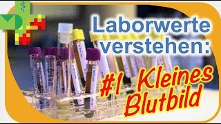 Laborwerte verstehen 1 Kleines Blutbild [upl. by Einaled]