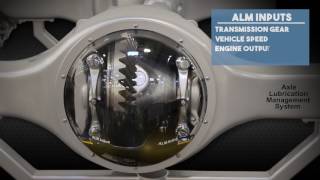 Detroit Axle Lubrication Management ALM Video [upl. by Olbap]