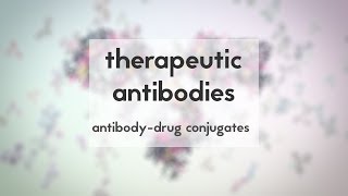 Therapeutic antibodies Part 3 antibodydrug conjugates [upl. by Adneram34]