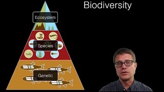 Types of Biodiversity Explained [upl. by Ahsiela]