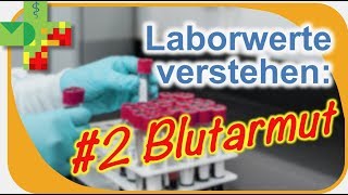 Laborwerte verstehen 2 Blutarmut differenzieren [upl. by Sidell6]