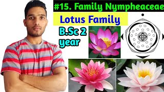 family NymphaeaceaeFloral daigram and Economic importance BSc 2 year [upl. by Arehsat]