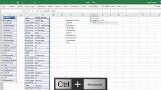 Remove Duplicates in Excel Featuring the New UNIQUE amp SORT Functions [upl. by Amikay7]