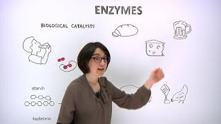 What are enzymes [upl. by Perrie181]