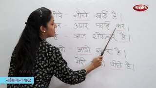 Reading Basic Hindi Words Sentences  हिन्दी शब्द  Sight Words in Hindi  Hindi Phonics [upl. by Story]