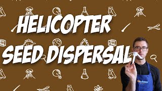 Helicopter Seed Dispersal [upl. by Nosyaj]