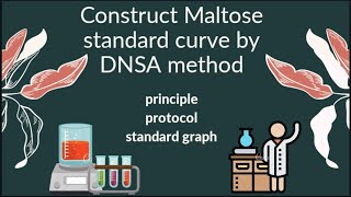 Practical  maltose standard curve by DNSA method [upl. by Rehnberg]