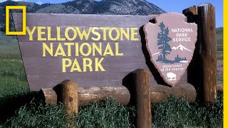 A Brief History of Yellowstone National Park  National Geographic [upl. by Artemus]