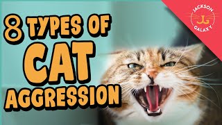 8 Types of Cat Aggression Explained [upl. by Edea]